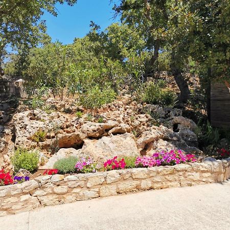 Villa Ermis - The Cretan Castello Kástellos Dış mekan fotoğraf