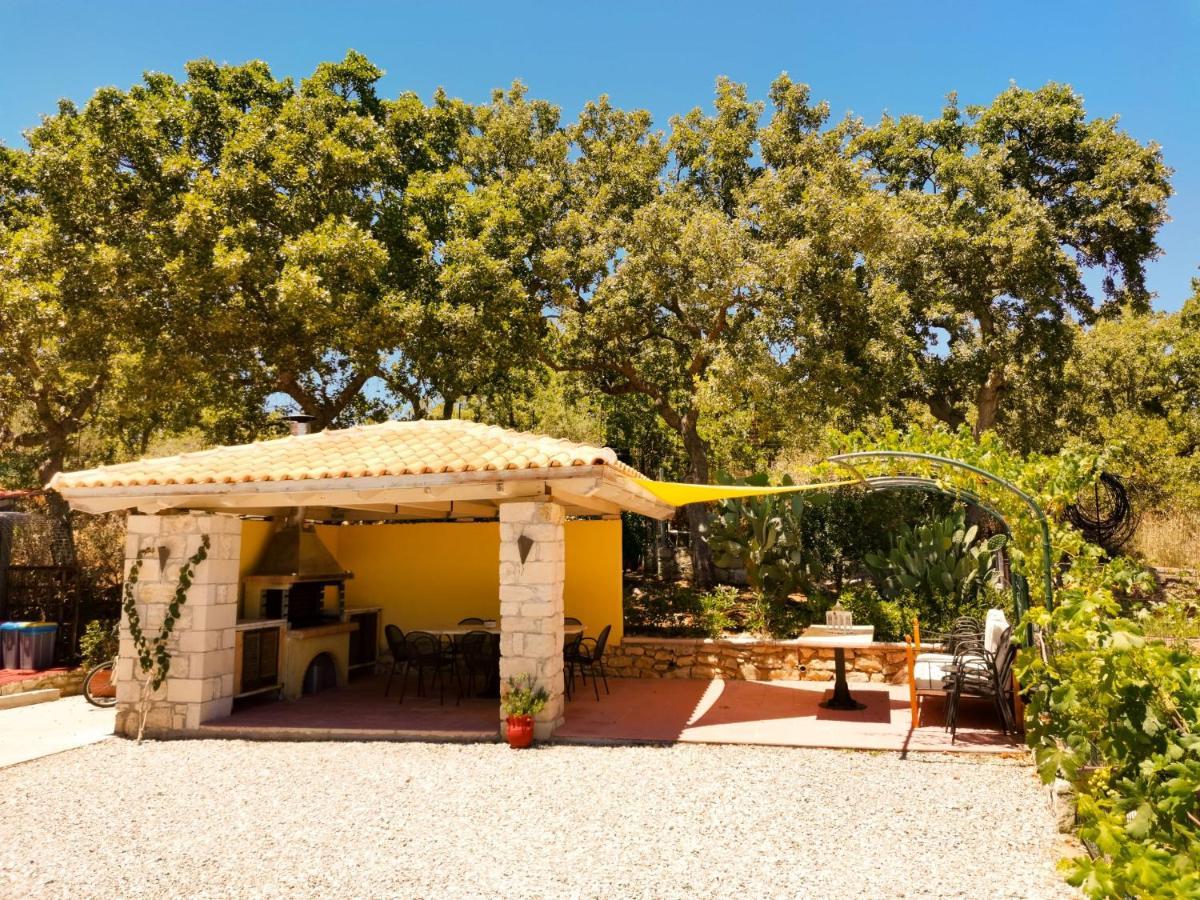 Villa Ermis - The Cretan Castello Kástellos Dış mekan fotoğraf