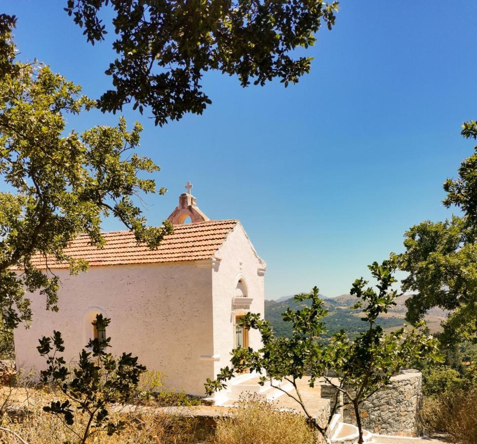 Villa Ermis - The Cretan Castello Kástellos Dış mekan fotoğraf