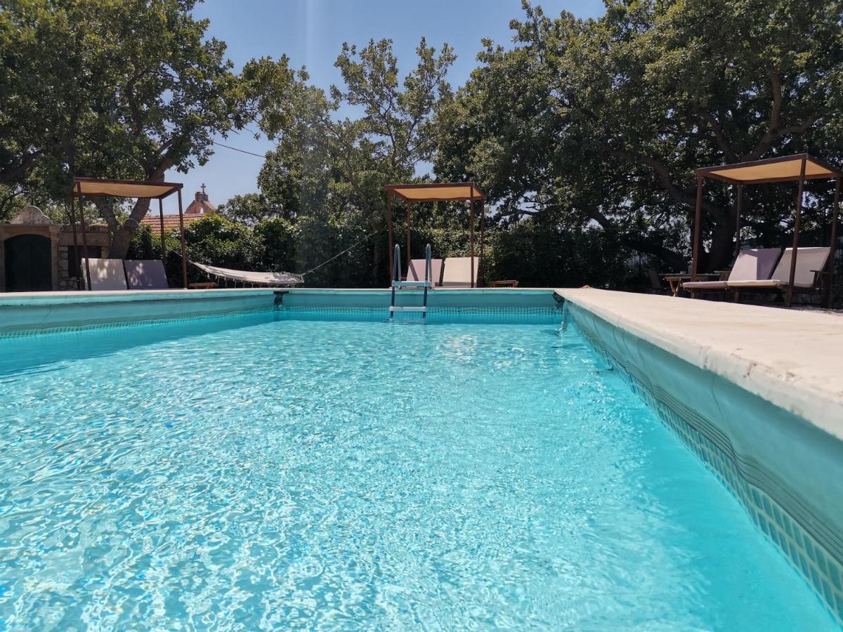 Villa Ermis - The Cretan Castello Kástellos Dış mekan fotoğraf