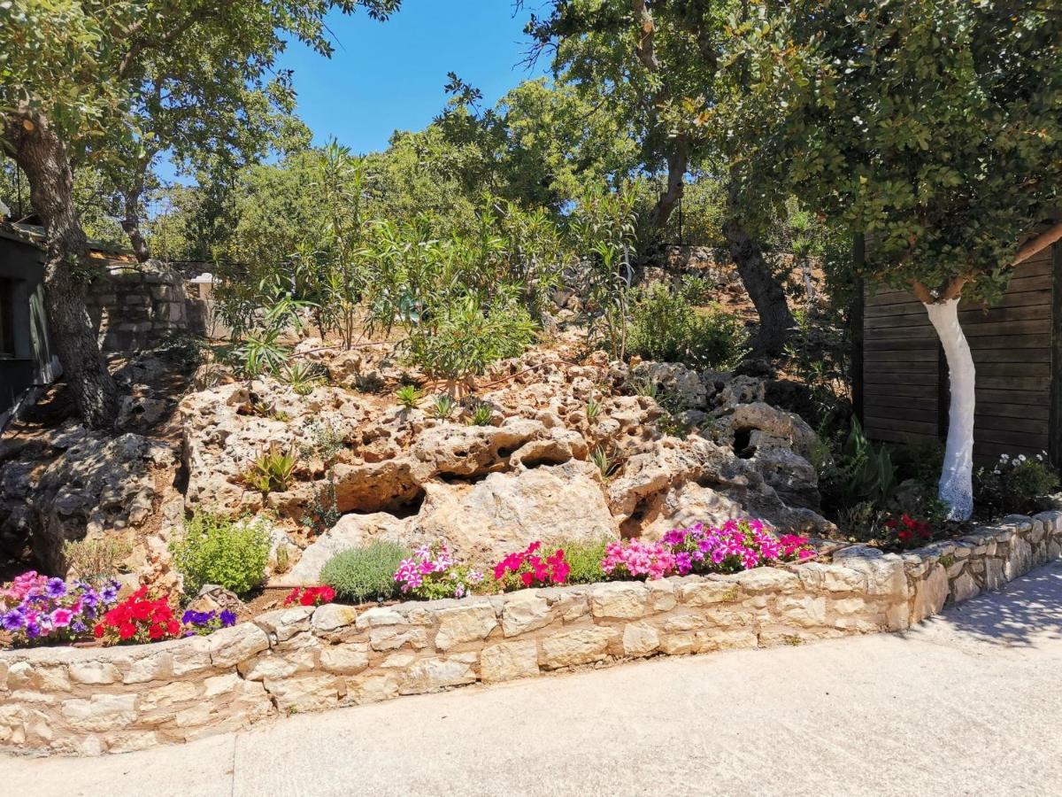 Villa Ermis - The Cretan Castello Kástellos Dış mekan fotoğraf