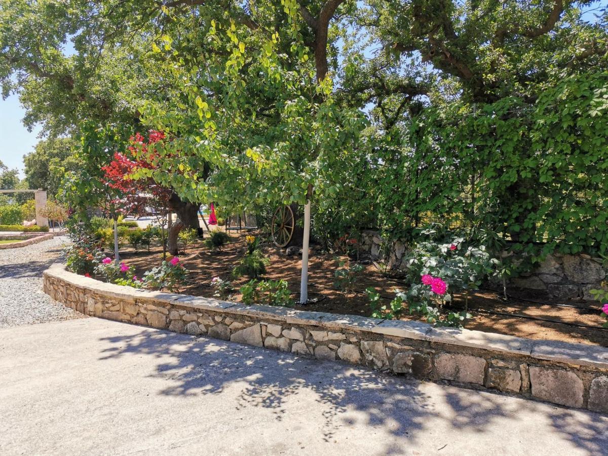 Villa Ermis - The Cretan Castello Kástellos Dış mekan fotoğraf