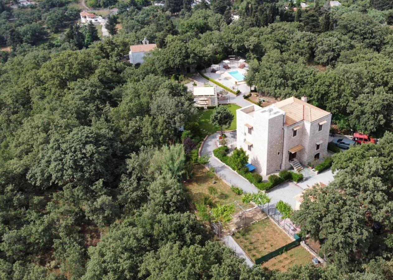 Villa Ermis - The Cretan Castello Kástellos Dış mekan fotoğraf